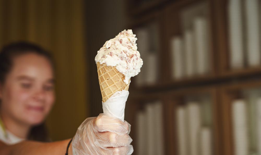 Basi per gelato premium